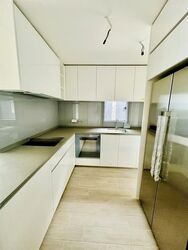 Amber Park (D15), Condominium #550328971